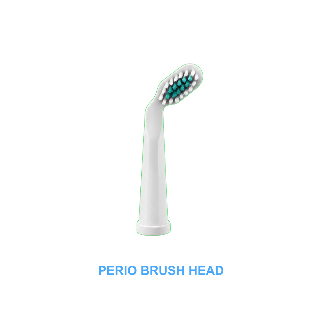 Gentle Gum Protection Combo - Perio Brush Heads + All-Natural Toothpaste