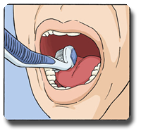 Kyoui Adults (#40) - Angled Toothbrush for Adults - Kyoui